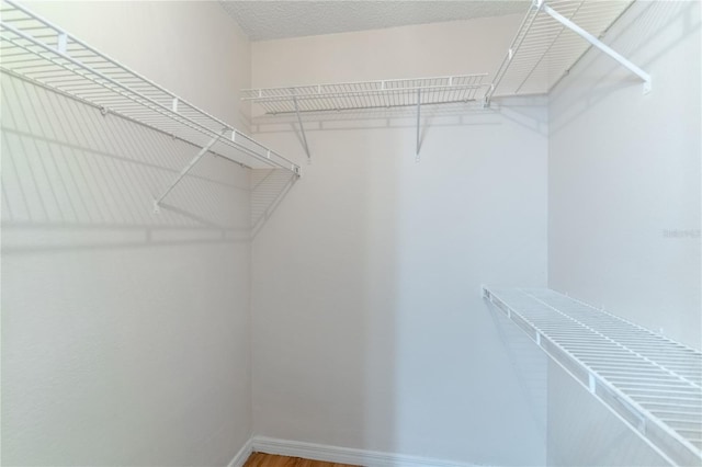 spacious closet featuring hardwood / wood-style floors