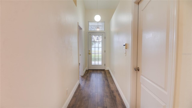 entryway featuring a high ceiling and dark hardwood / wood-style flooring