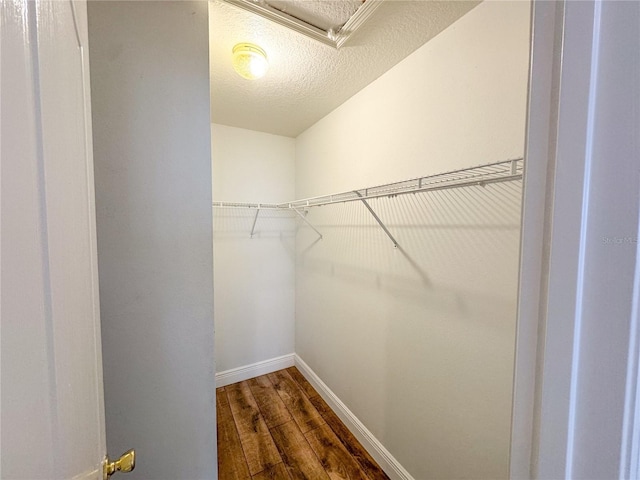 spacious closet with dark hardwood / wood-style flooring