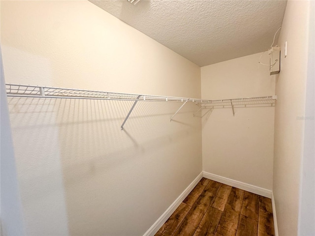 walk in closet with dark wood-type flooring