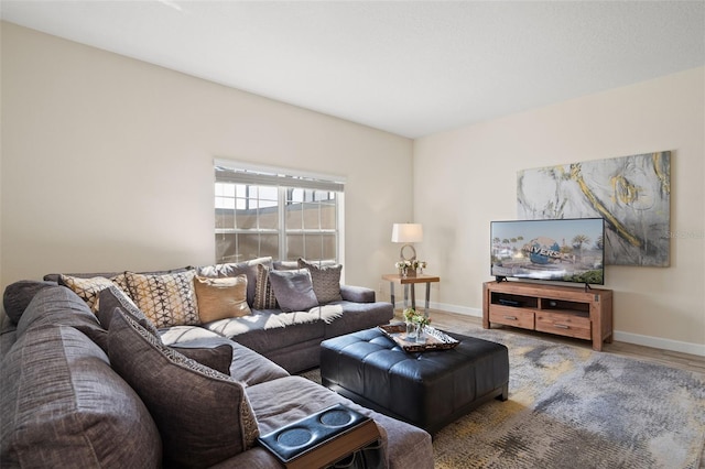 living room featuring hardwood / wood-style floors