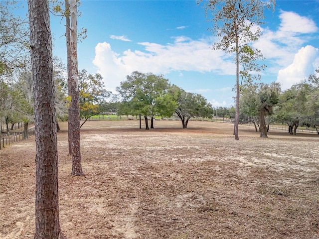 view of yard featuring a rural view