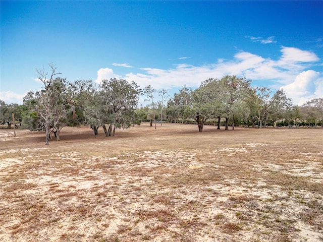 view of local wilderness with a rural view