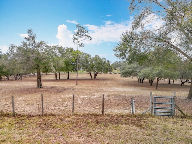 view of yard featuring a rural view