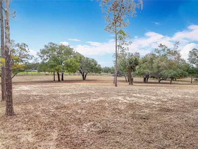 view of yard with a rural view