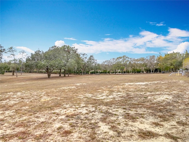 view of yard featuring a rural view