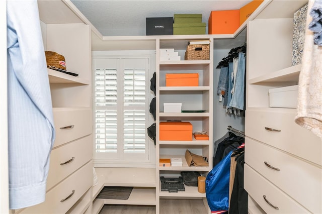 spacious closet with hardwood / wood-style flooring