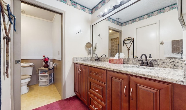 bathroom with toilet and vanity