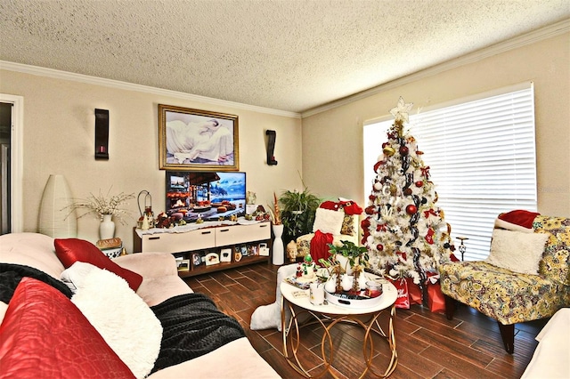 living room featuring a textured ceiling and ornamental molding