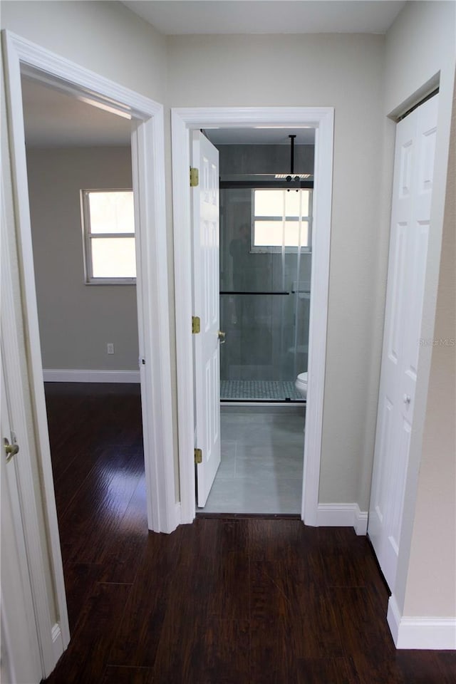 hallway featuring dark hardwood / wood-style floors