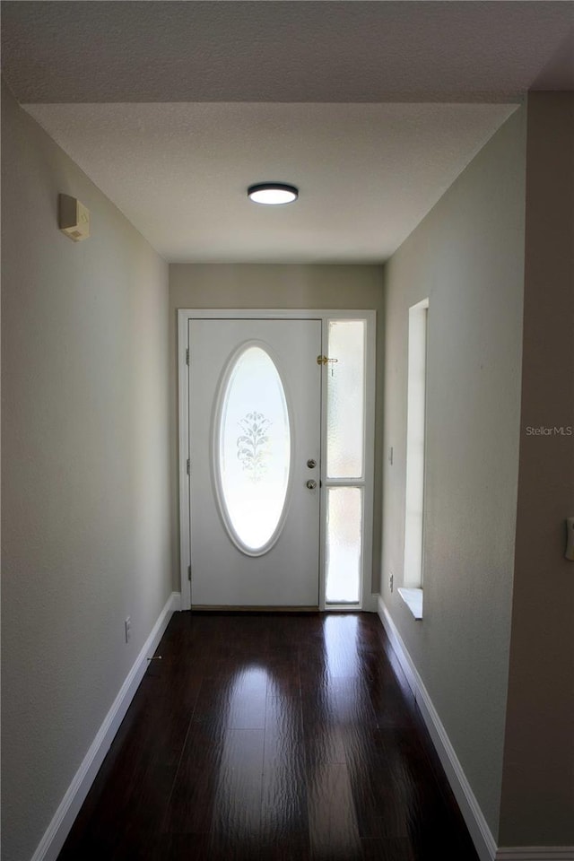 foyer entrance with dark wood-type flooring