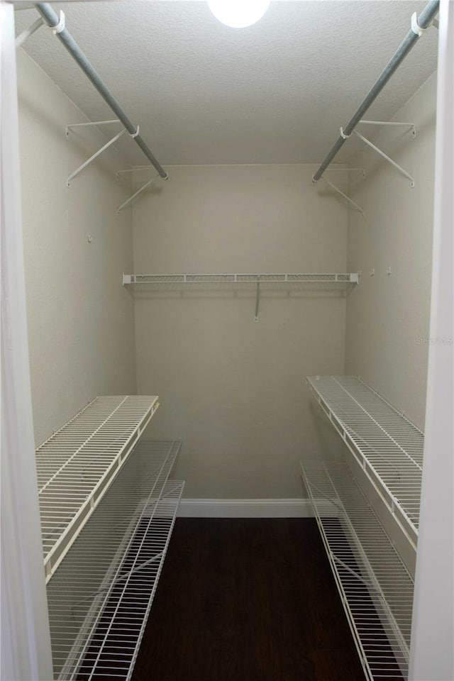 spacious closet with dark wood-type flooring