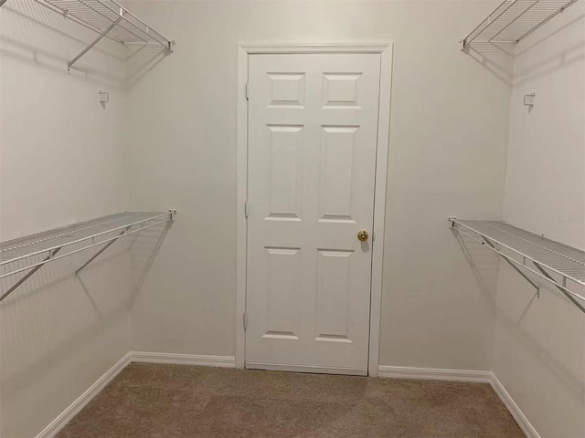 walk in closet featuring carpet