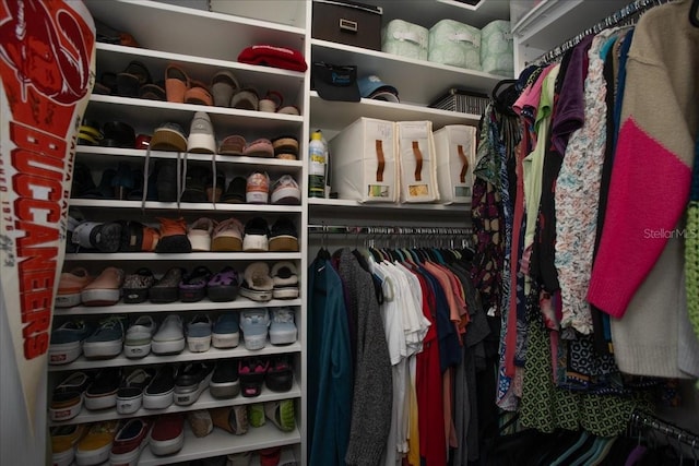 view of spacious closet