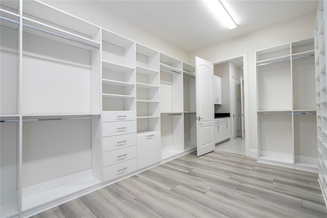 walk in closet with light wood-type flooring