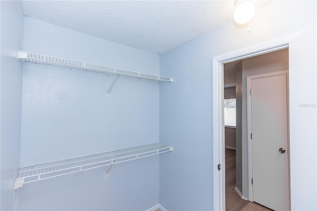 spacious closet featuring light wood-style floors