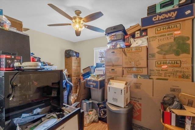 storage area with ceiling fan