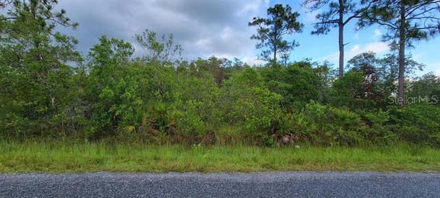 9405 Helena Dr, Saint Cloud FL, 34773 land for sale