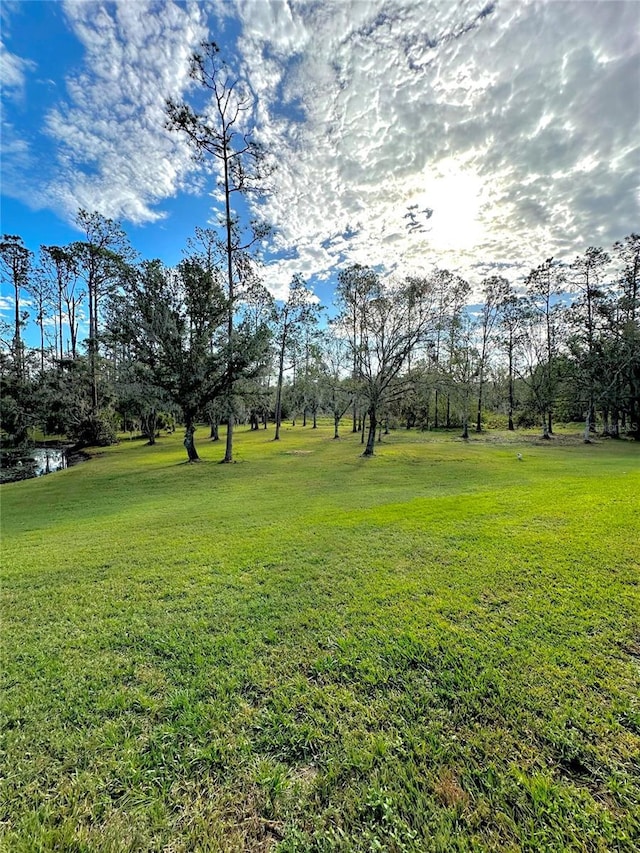 view of yard with a water view