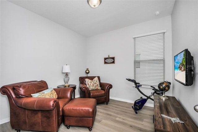 sitting room featuring light hardwood / wood-style flooring