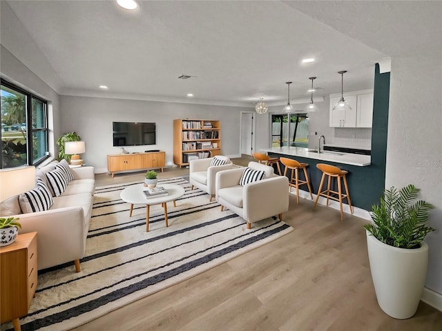 living room featuring light hardwood / wood-style floors and sink