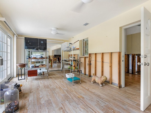 interior space with ceiling fan, light wood-type flooring, and plenty of natural light