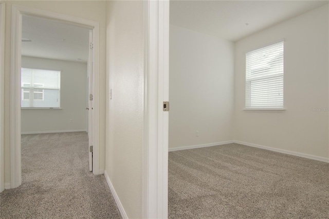 hallway featuring light colored carpet and a healthy amount of sunlight