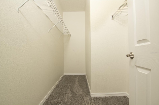 walk in closet featuring dark carpet