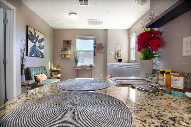 living area featuring a textured ceiling and a healthy amount of sunlight