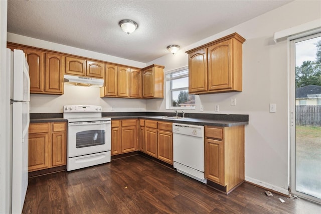 kitchen with white appliances, a textured ceiling, a healthy amount of sunlight, and dark hardwood / wood-style floors