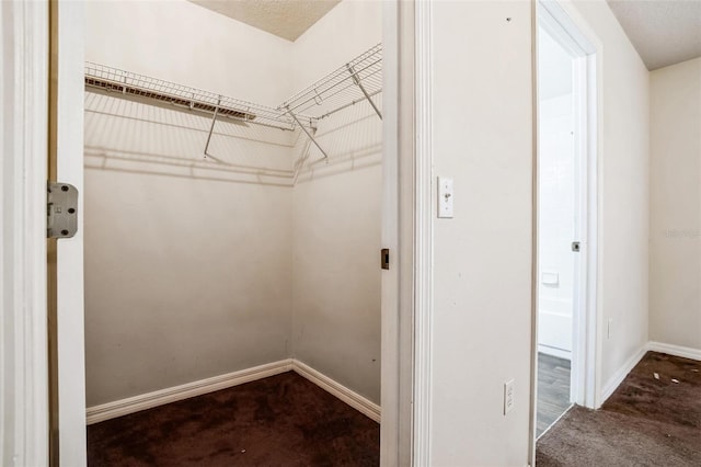 spacious closet with carpet floors