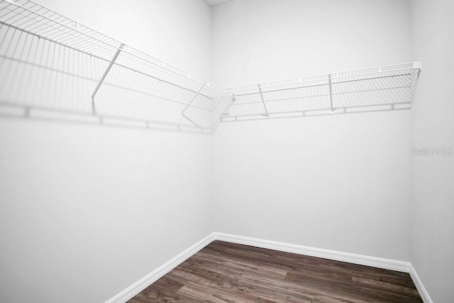 spacious closet with dark wood-type flooring