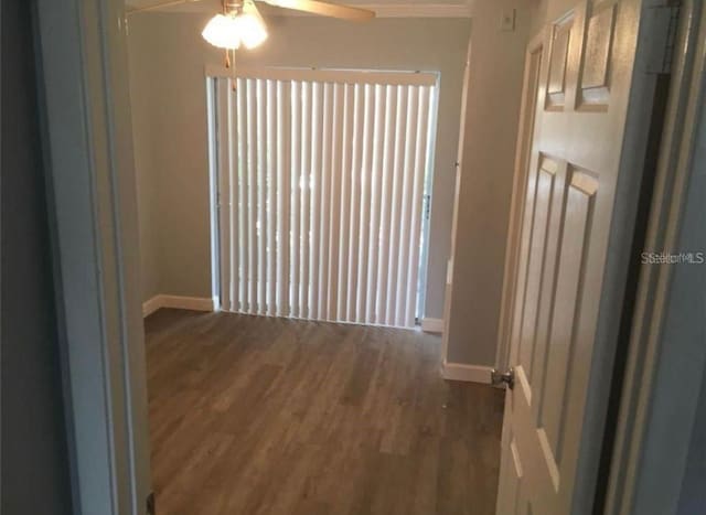 corridor featuring dark hardwood / wood-style flooring