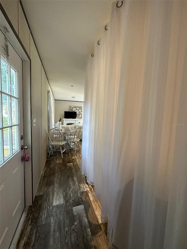 corridor featuring dark hardwood / wood-style floors