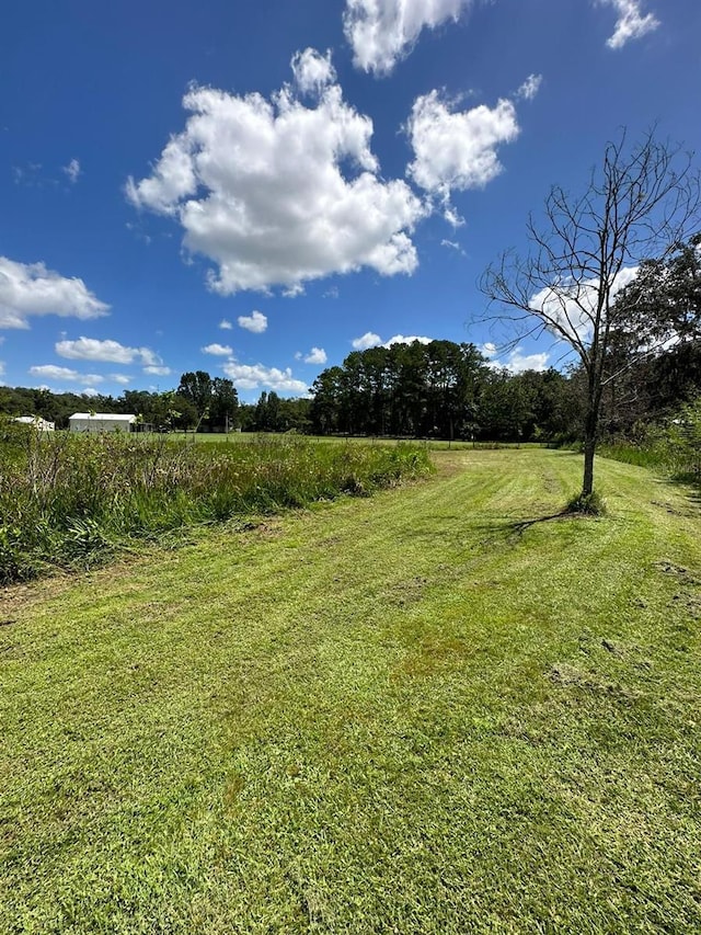 view of yard featuring a rural view