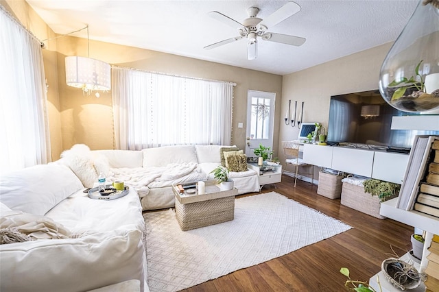 living room featuring ceiling fan and dark wood-type flooring