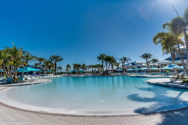 view of swimming pool