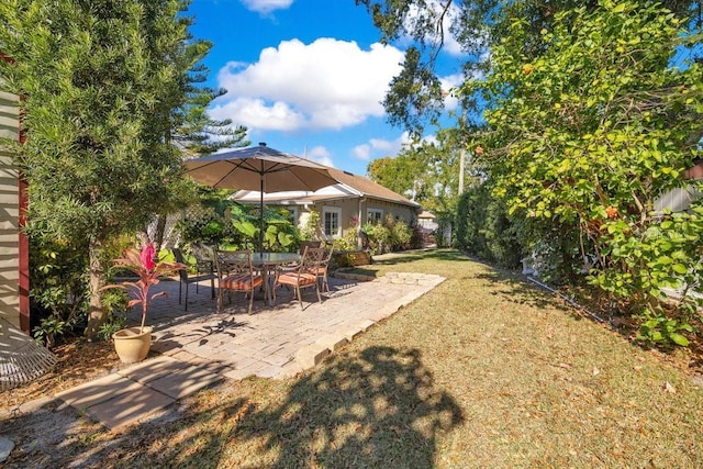 view of yard featuring a patio area