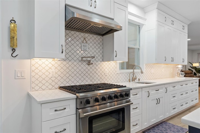 kitchen featuring high end stove, sink, decorative backsplash, and range hood