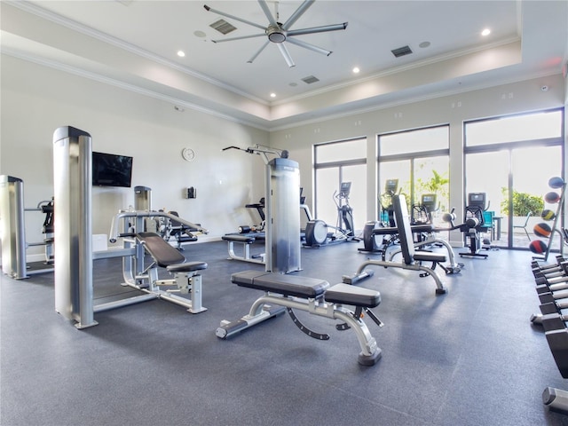 exercise room with ornamental molding, a towering ceiling, and a tray ceiling