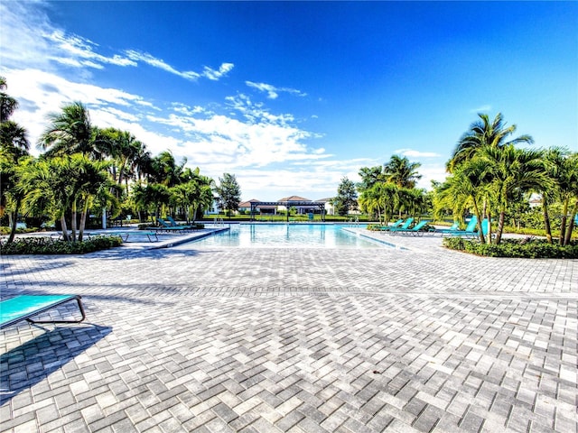 view of pool featuring a patio