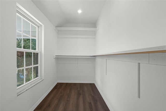 spacious closet with vaulted ceiling and dark hardwood / wood-style flooring