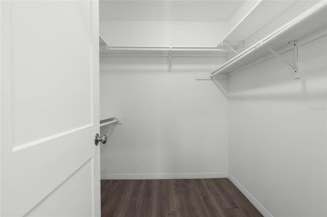 spacious closet with dark hardwood / wood-style floors