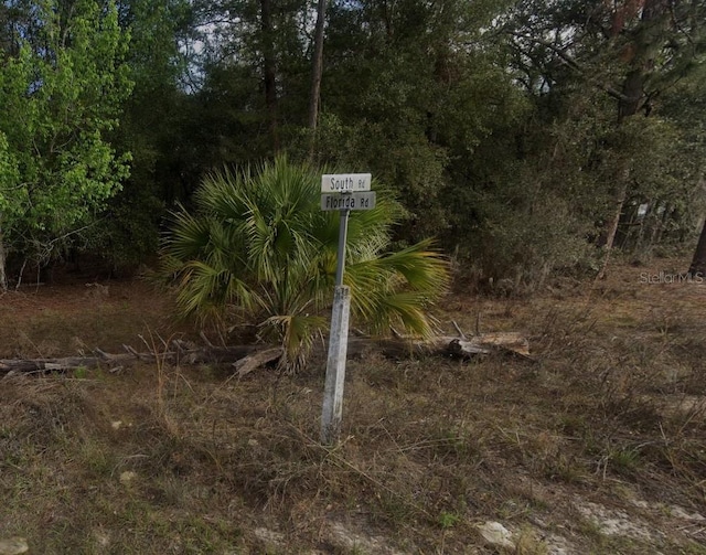 Listing photo 2 for 000 Florida Rd, Altoona FL 32702