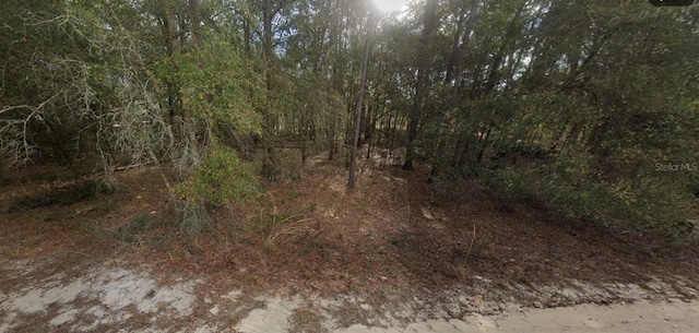 Listing photo 3 for 000 Florida Rd, Altoona FL 32702