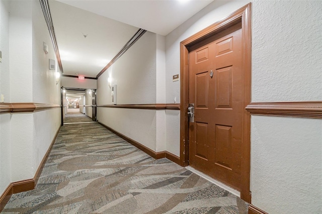 corridor featuring crown molding and carpet floors