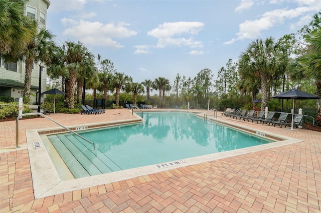 view of swimming pool with a patio