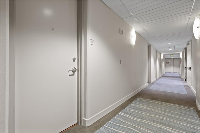 hallway with carpet flooring