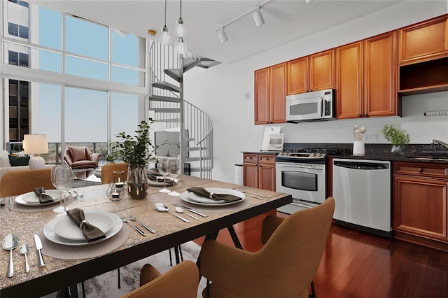 kitchen with sink, hanging light fixtures, appliances with stainless steel finishes, track lighting, and dark hardwood / wood-style flooring