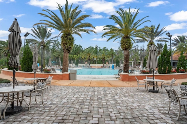 view of swimming pool with a patio